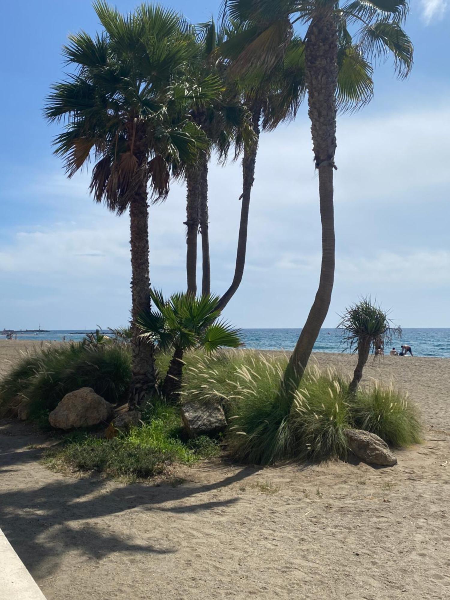 Almeria Playa Zapillo Екстер'єр фото